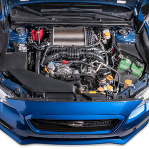 IAG Performance Air Oil Separator 2015-2021 Subaru WRX / 2014-2018 Forester XT