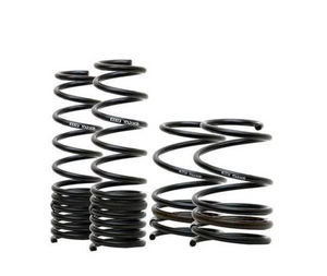 Swift Springs Sport Springs Spec-R