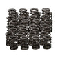 Manley Spring Retainer, RET-TI 22205 SPRING
