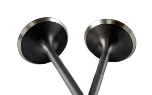 BLOX Racing High Compression Exhaust Valve Set for Honda F20C (set 0f 8)
