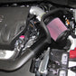 K&N 07-10 Nissan Altima 2.5L Silver Typhoon Short Ram Intake