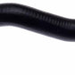 Gates 84-86 Nissan Sentra 4-Cyl. 1.6L Lower - Pipe To Rad. Molded Coolant Hose