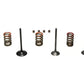 S&S Cycle 11-16 KX250F Steel Valve Set