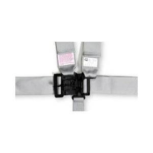 RaceQuip Platinum L & L 5pt Seat Belt