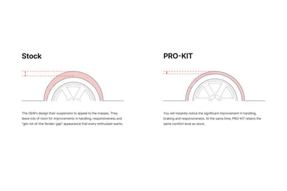 Eibach Pro-Kit EV for 24-25 Tesla Model Y RWD