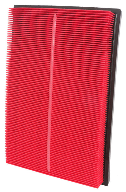 Photo - Primary