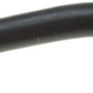 Gates 98-02 Ford Ranger V-6 4.0L Lower Molded Coolant Hose