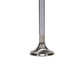 Manley 99-12 Ford 4.6L/281 5.4L/330 V8 37mm Race Series Stainless Steel Intake Valve - Single