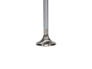 Manley 99-12 Ford 4.6L/281 5.4L/330 V8 37mm Race Series Stainless Steel Intake Valve - Single