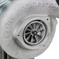 Photo - Unmounted
