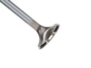 Manley 99-12 Ford 4.6L/281 5.4L/330 V8 37mm Race Series Stainless Steel Intake Valve - Single