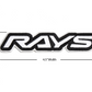 RAYS HEAT SEAL PATCH