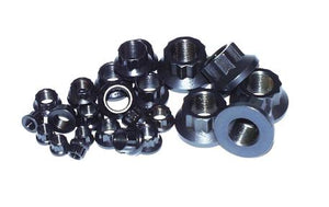 ARP 1/4in -28 12pt Nut Kit (Pack of 10)