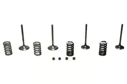 Wiseco 02-06 CRF450R Steel Valve Set
