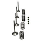 Wiseco 02-06 CRF450R Steel Valve Set