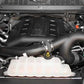 K&N 2015 Ford F150 EcoBoost V6-3.5L 57 Series FIPK Performance Intake Kit