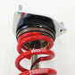 RS-R 11+ Toyota Prius V Sports-i Coilovers