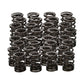 Manley Spring Retainer, RET-TI 22205 SPRING