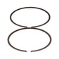 User 2