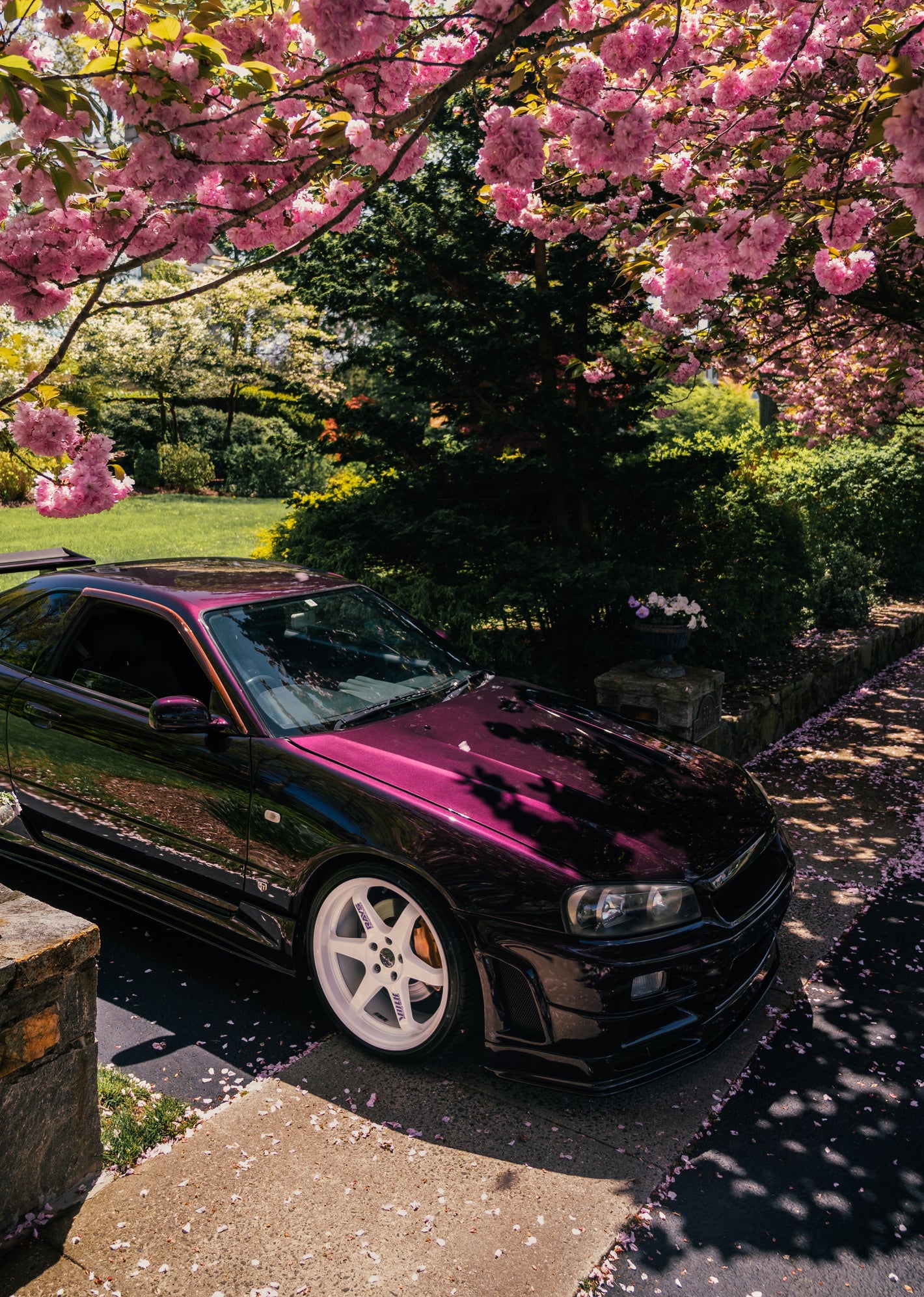 dsc_0984-edit