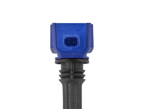 Photo - Close Up
