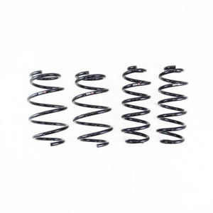 RS-R 93-02 Toyota Supra (JZA80) Ti2000 Down Springs