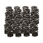 Manley Spring Retainer, RET-TI 22205 SPRING