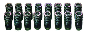 HKS 91-00 Infiniti G20 SR20DET Outer Valve Spring Set