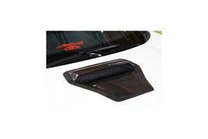 APR Carbon Fiber Hood Scoop 2017+ Type R