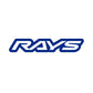 Rays No.18 Logo Sticker 200mm